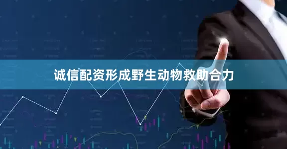 诚信配资形成野生动物救助合力
