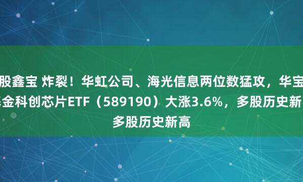 股鑫宝 炸裂！华虹公司、海光信息两位数猛攻，华宝基金科创芯片ETF（589190）大涨3.6%，多股历史新高