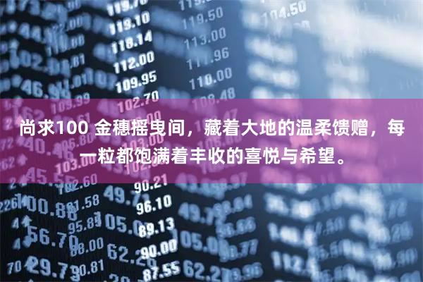 尚求100 金穗摇曳间，藏着大地的温柔馈赠，每一粒都饱满着丰收的喜悦与希望。