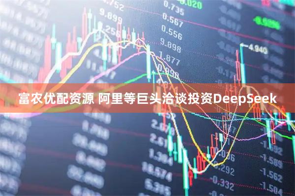 富农优配资源 阿里等巨头洽谈投资DeepSeek